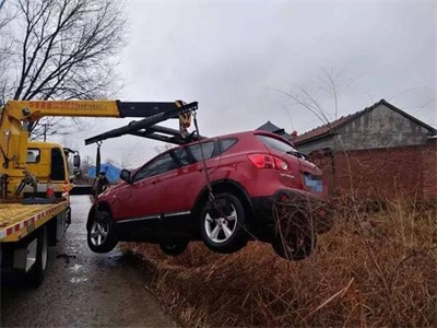 遂溪楚雄道路救援